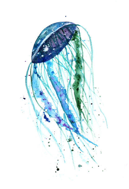 Akvarelu ilustrace s medúzy - Fotografie, Obrázek
