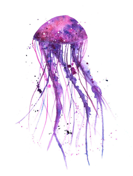 Watercolor illustration with jellyfish - Photo, Image