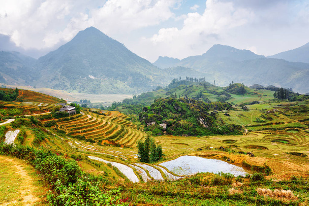Scenic view of rice terraces filled with water at highlands - Photo, image