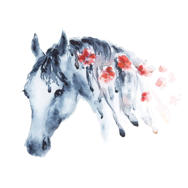 Wet watercolor horse head with red flowers in mane.  - Foto, Imagem