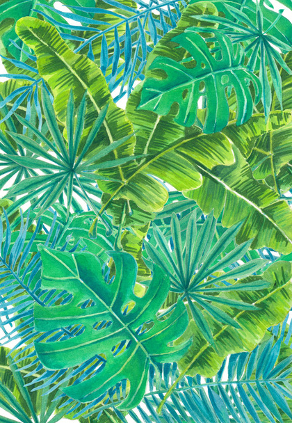 Tropical leaves watercolor - Photo, Image