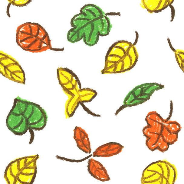 Collection beautiful colorful autumn leaves on white background.  - Foto, Bild