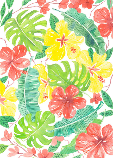 Hibiskus, frangapani and palm leaves - Foto, immagini