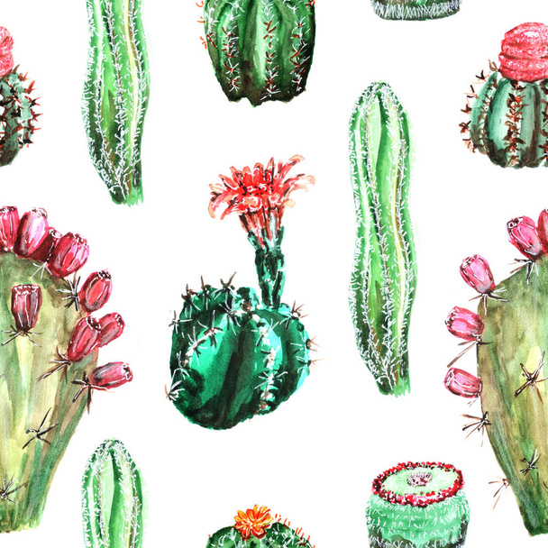 pattern with colorful cacti - Zdjęcie, obraz