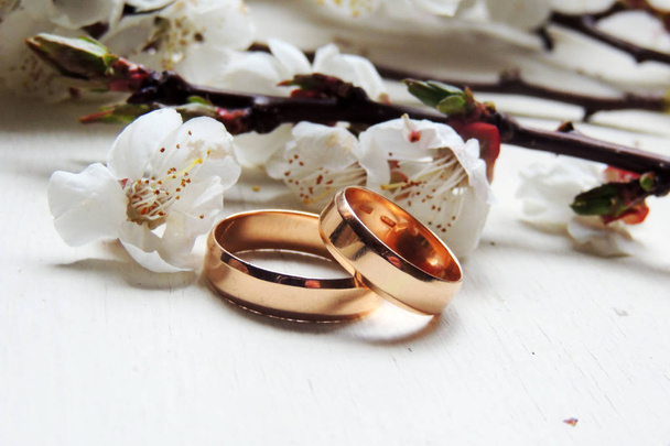 Couple wedding rings - Photo, Image