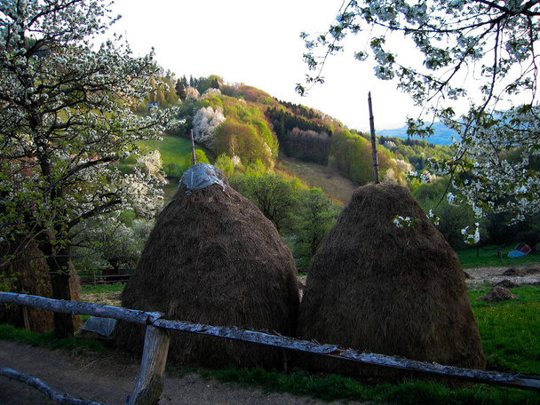 Карпатський сільській місцевості весна - Фото, зображення