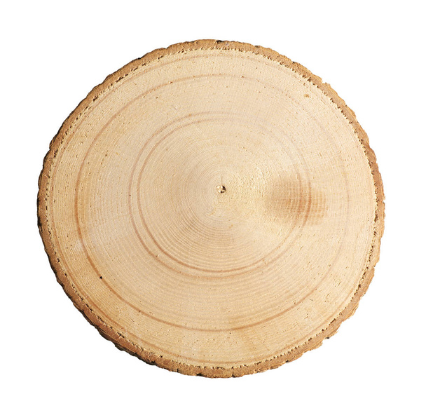 Sawed wood texture - Foto, Imagem