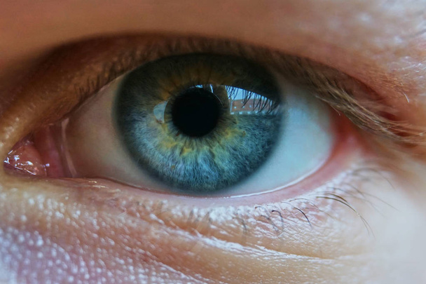 Close up of a mans blue eyes, extrem macro. Reflection of a buildingin the eye. - Fotografie, Obrázek