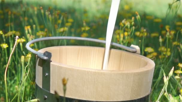 Two videos of pouring milk into wooden bucket-real slow motion - Footage, Video