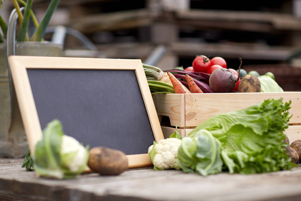 close up of vegetables with chalkboard on farm - Foto, afbeelding