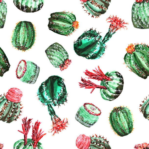 pattern with colorful cacti - Φωτογραφία, εικόνα