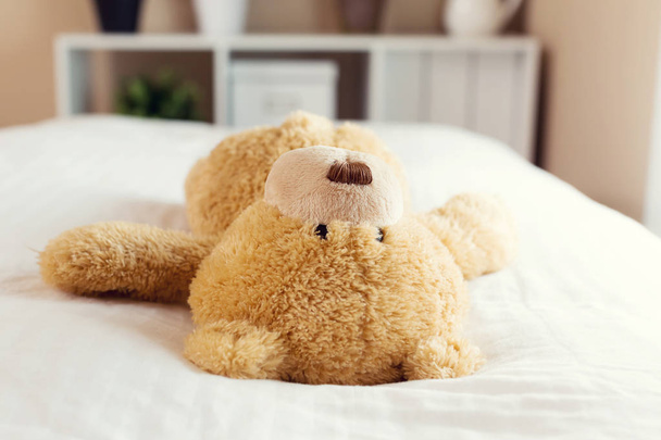 Teddy bear resting  - Foto, Imagen