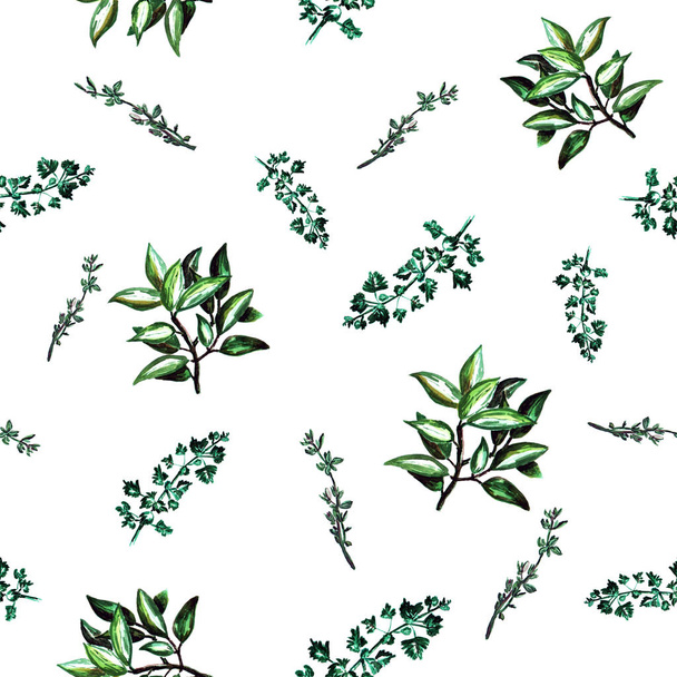 patrón con perejil y hojas de laurel
 - Foto, imagen