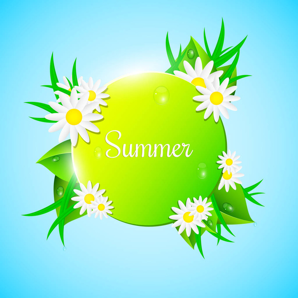 Yellow-green banner in the summer style. Fresh leaves and grass look out in the background. Drops of dew flow down the leaves. Beautiful flowers. Chamomile. Ecological banner. Realistic illustration - Vektori, kuva