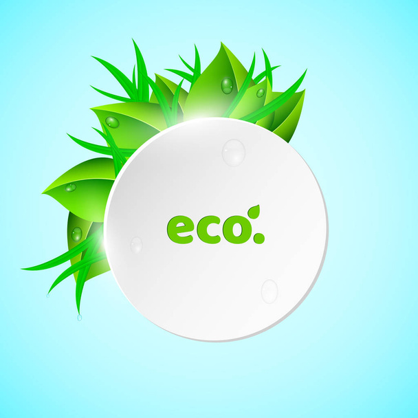 White, light round banner in the summer style. Fresh leaves and grass. Drops of dew flow down the leaves. Ecological banner. Realistic vector illustration - Διάνυσμα, εικόνα