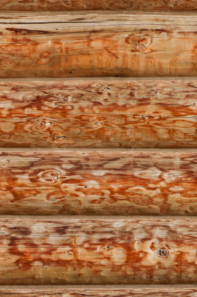 Background of old wood, texture old wood - Photo, image