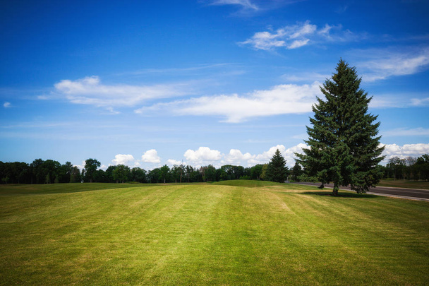 Green grass lawn at city park - Фото, изображение