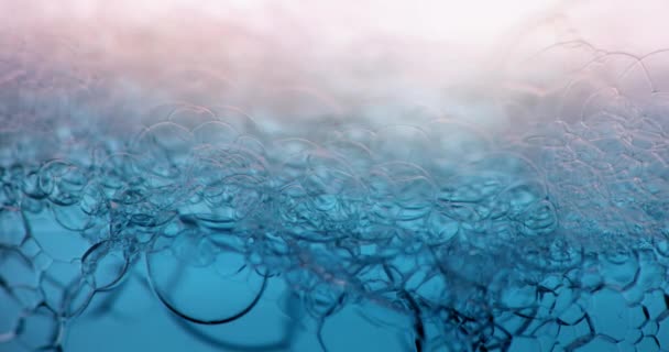 beautiful macro shot of blue water blisters - Filmagem, Vídeo