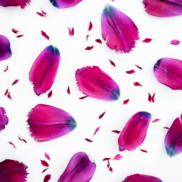 Pattern of tulip petals - Foto, Imagen
