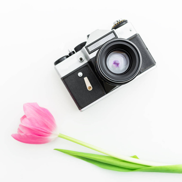 Tulpenblume mit Vintage-Kamera - Foto, Bild