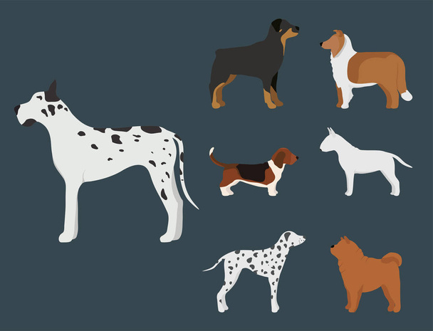 Divertido perro de dibujos animados carácter pan en ilustración vectorial estilo de dibujos animados
. - Vector, imagen