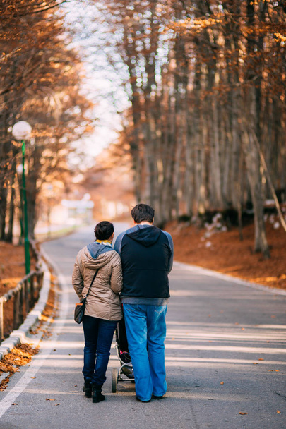 A szülők egy gyerek egy tolószékben, az őszi erdő mentén járni az úton - Fotó, kép