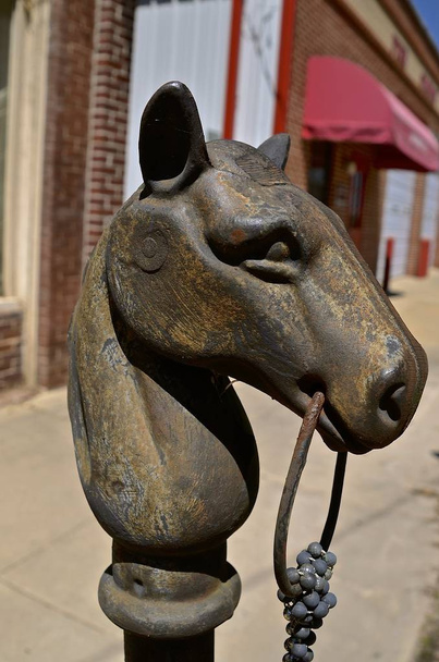 koňské hlavy násypníkem post - Fotografie, Obrázek