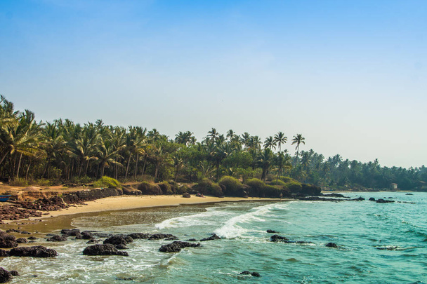 Wild beach in Maharashtra state, India, Arabian sea - Photo, Image