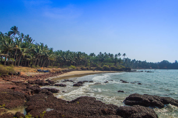 Playa salvaje en el estado de Maharashtra, India, Mar Arábigo
 - Foto, imagen