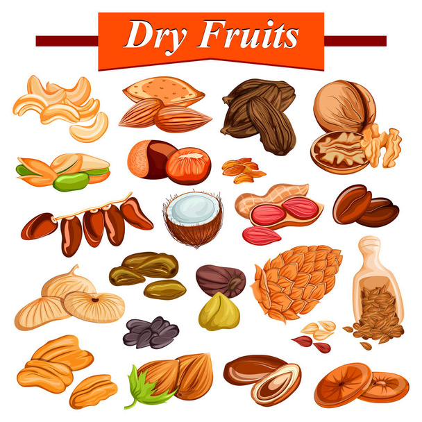 Válogatott száraz gyümölcs szett tartalmazza a cashewnut, mandula, mazsola, füge- és diófélék - Vektor, kép