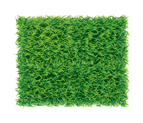 Векторная зеленая трава на белом фоне
 - Вектор,изображение