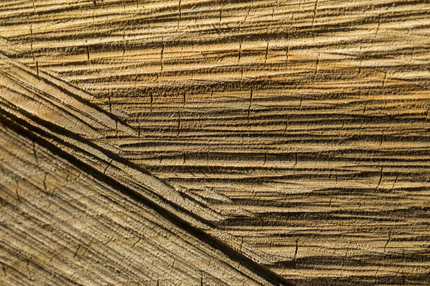 the texture of wood logs.Stylish Wooden background - Fotografie, Obrázek