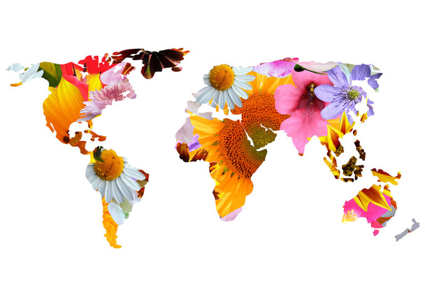 world map silhouette made of colorful flowers - Photo, Image