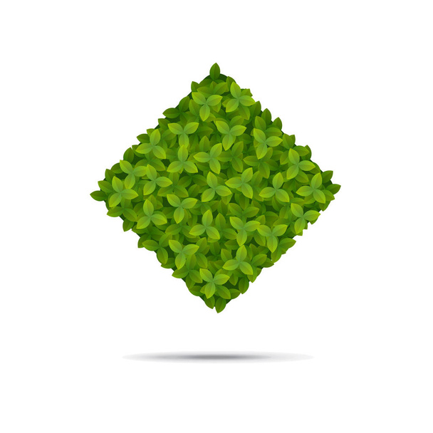Forma Rombus cubierta de hojas
. - Vector, Imagen