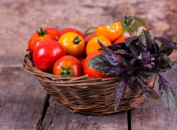 Verse tomaten in een geit en paarse basilicum - Foto, afbeelding