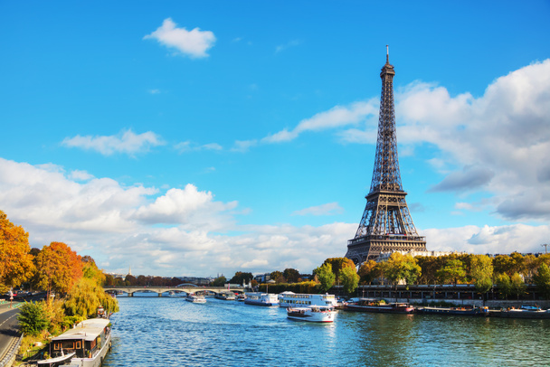 Пейзаж Парижа с Эйфелевой башней - Фото, изображение