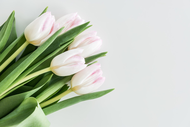 Tulipanes rosa claro
   - Foto, Imagen