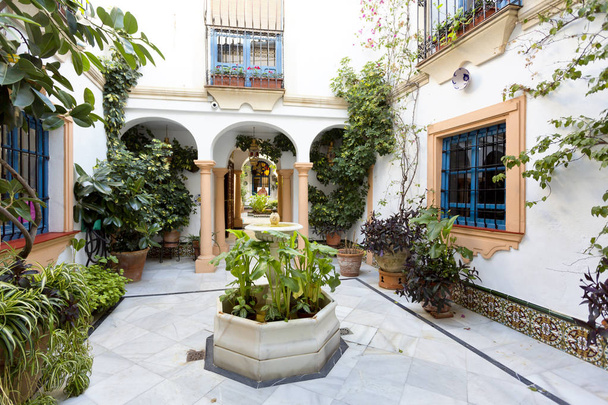 Tipikus andalúziai terasz szökőkúttal és növények - Fotó, kép
