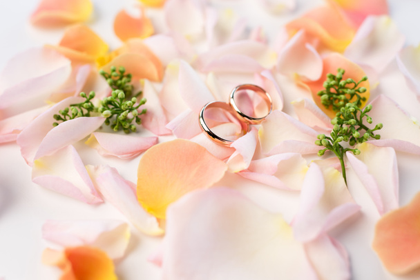 trouwringen op rozenblaadjes - Foto, afbeelding