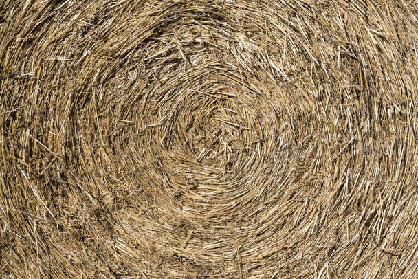 Close up of straw background texture. - Photo, Image