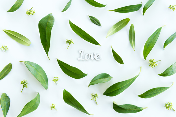 Folhas verdes e símbolo de amor
 - Foto, Imagem