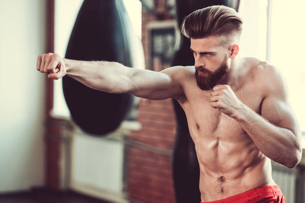 Handsome bearded boxer - Foto, Imagen