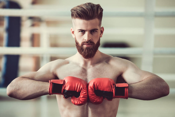 Handsome bearded boxer - Fotografie, Obrázek