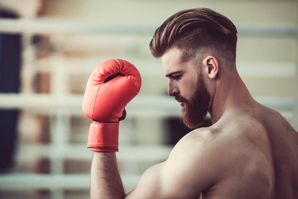 Handsome bearded boxer - Foto, Imagem