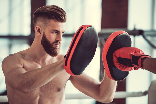 Handsome bearded boxer - Φωτογραφία, εικόνα