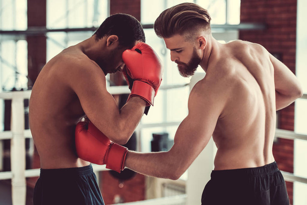 Handsome young boxers - Foto, immagini