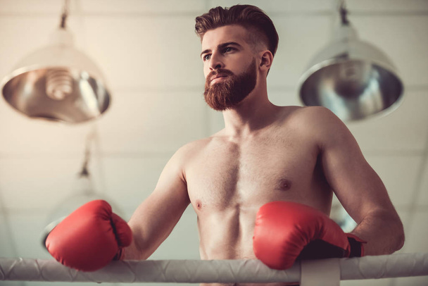 Handsome bearded boxer - Zdjęcie, obraz
