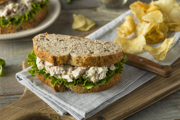 Homemade Healthy Chicken Salad Sandwich - Valokuva, kuva