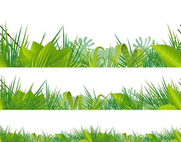 Illustration eines nahtlosen Dschungels und wilder tropischer Vegetation mit Farn, Brackblättern und exotischen Pflanzen isoliert auf weißem Hintergrund - Vektor, Bild