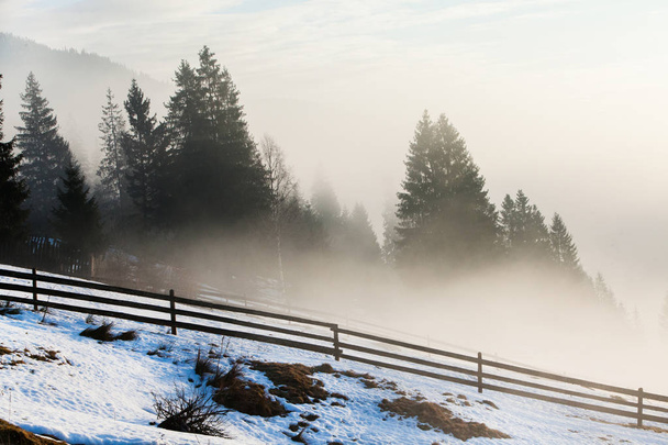 Piękny zimowy krajobraz w górach. Wschód słońca. Karpacka Dolina z mgły i śniegu. Zima w Karpatach. Wcześnie rano światło leżała na wzgórzu góry. - Zdjęcie, obraz